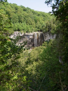 view of eugenia falls from further down the path shrouded by trees