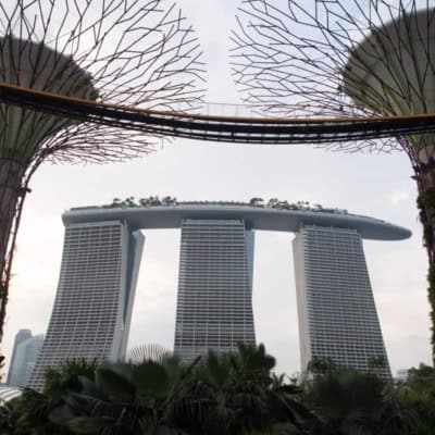 singapore gardens by the bay and marina bay sands