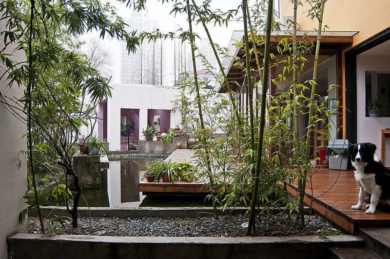 Lobby area of Rock & Wood International Youth Hostel in Shanghai.