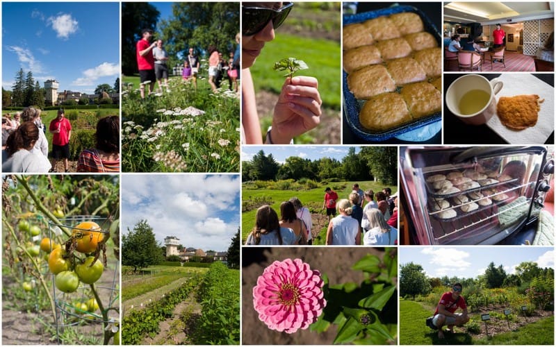 The Briars Activities - Horticultural Experience