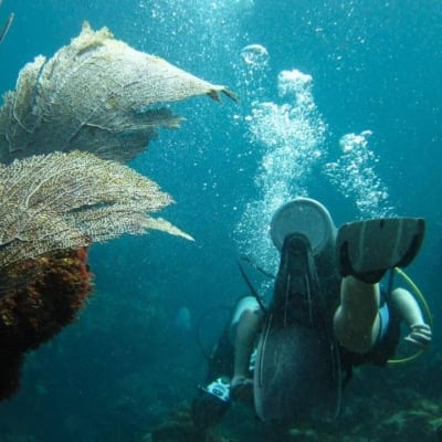 seapro divers in the dominican republic featured