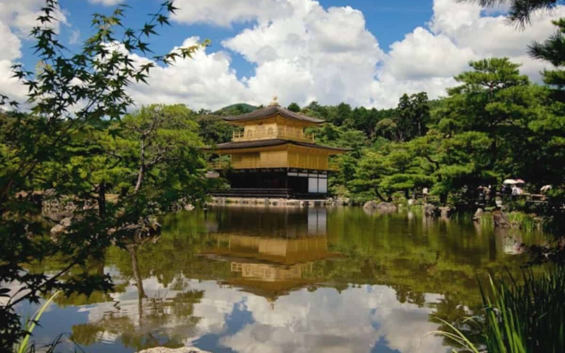 immerse yourself in japanese culture in kyoto
