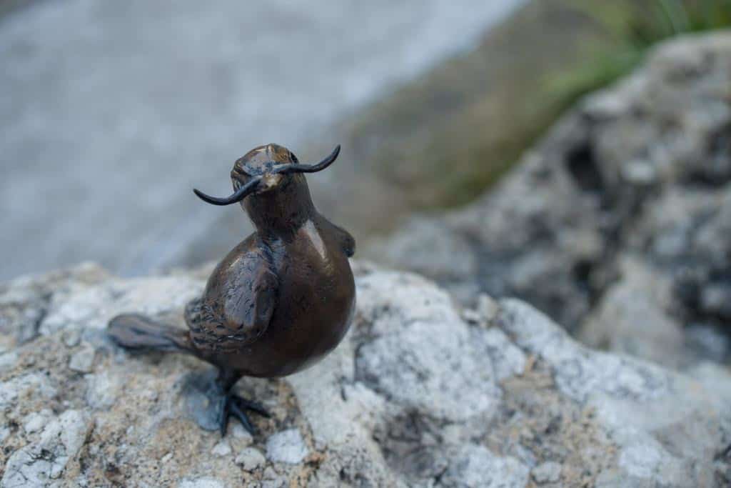 Little Dali Birdie