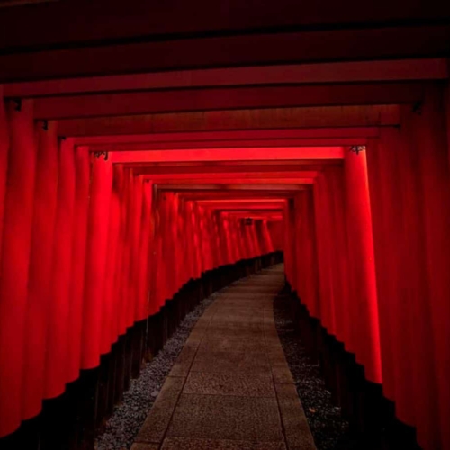 best time to go to kyoto featured