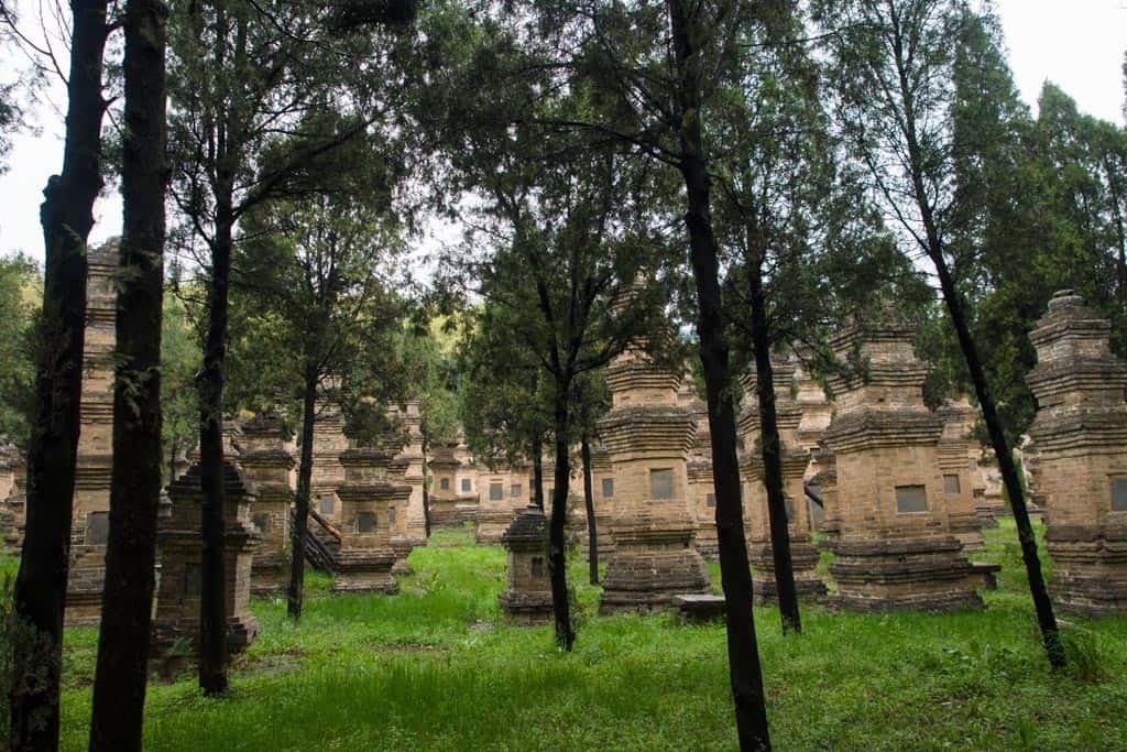 The Pagoda Forest at Shaolin looked a lot different than I had imagined.  In my head I was thinking it would be more of a forest path but instead it turned out to be really a giant cemetery of these stupas built to commemorate various monk leaders over the years at Shaolin.