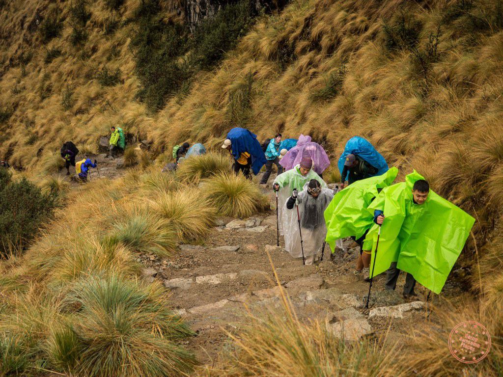 Inca Trail is Not for the Feint of Heart