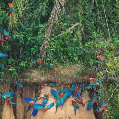why visit peru featured