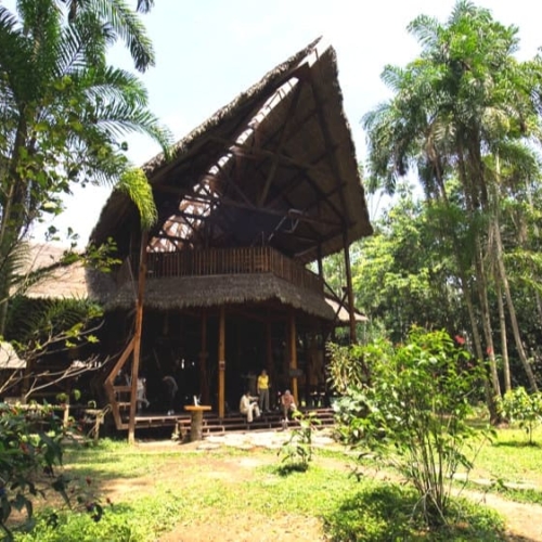 refugio amazonas eco-lodge property review featured
