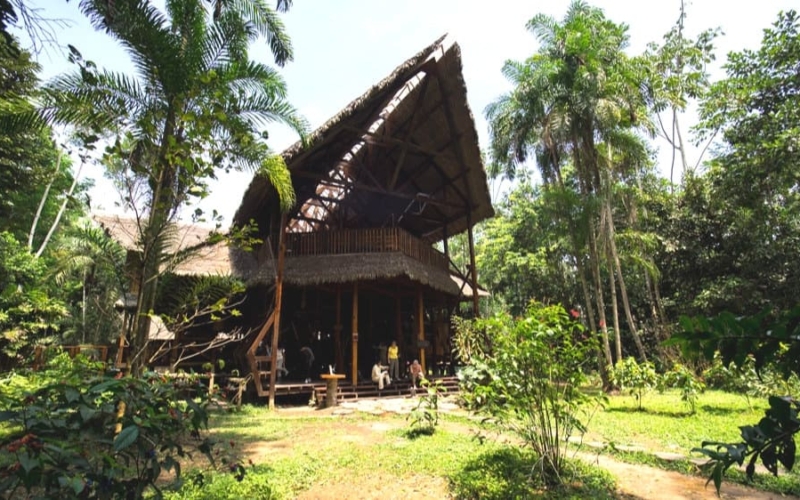 refugio amazonas eco-lodge property review featured