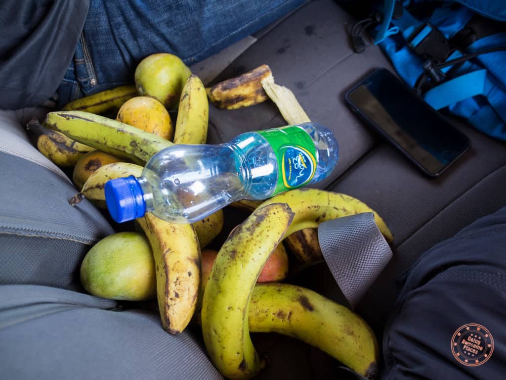 fruits purchased from the side of the road in ethiopia itinerary