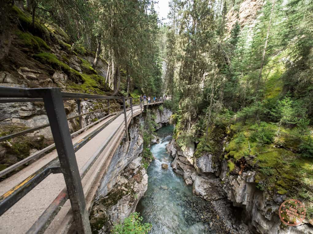 Johnston Canyon Trail