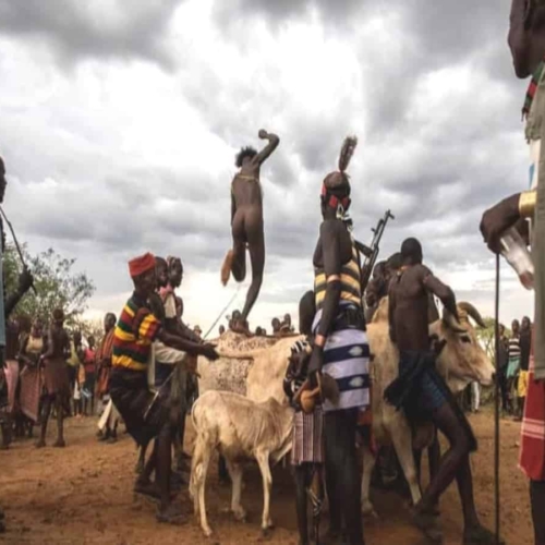 boy partaking in bull jumping ceremony with crowd watching