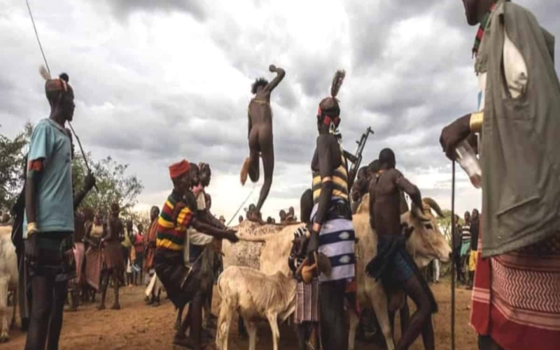 boy partaking in bull jumping ceremony with crowd watching