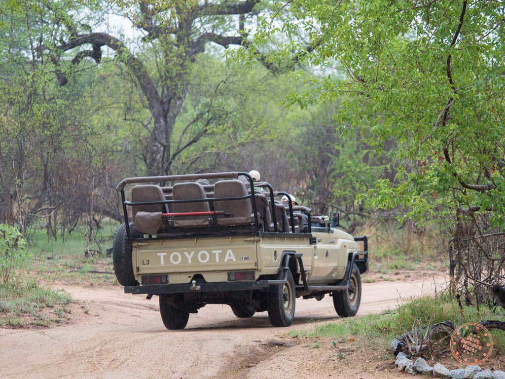game drive truck from behind
