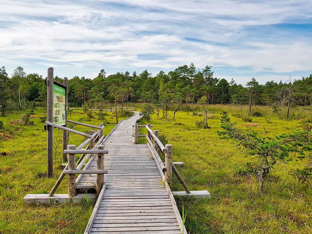 nature reserve in slitere national park