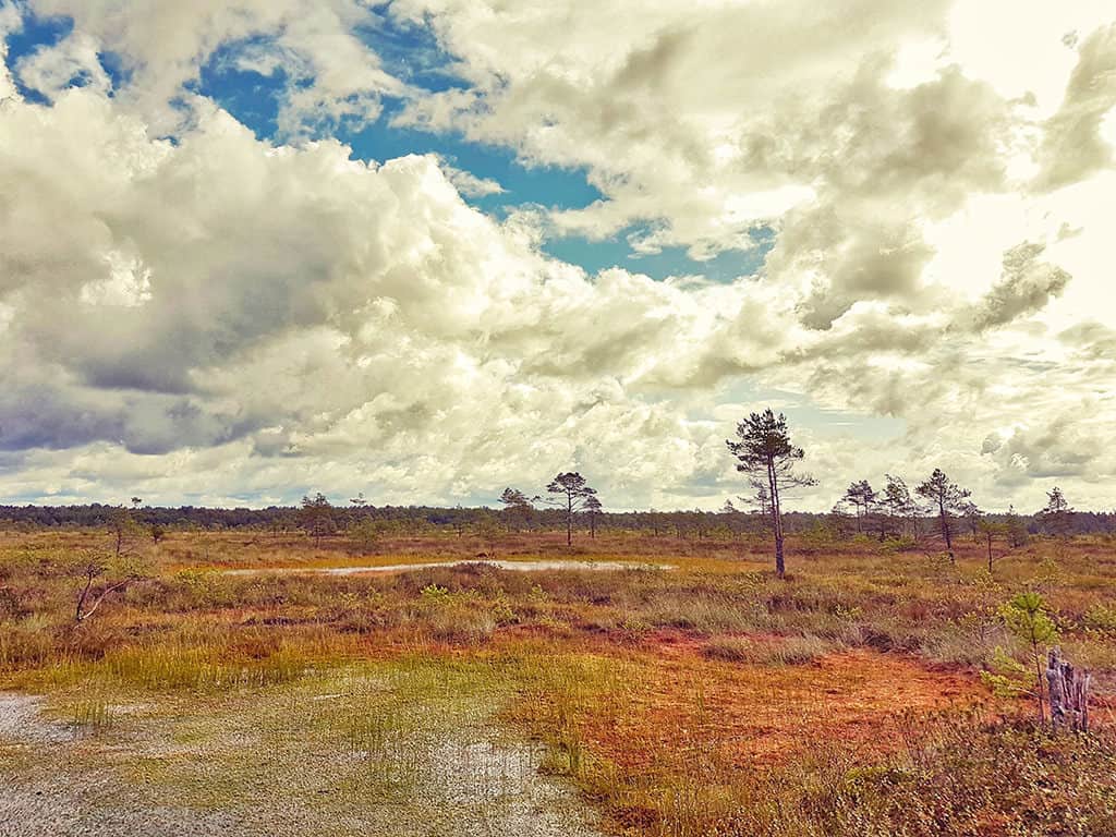 ziemelvidzeme biosphere reserve in latvia