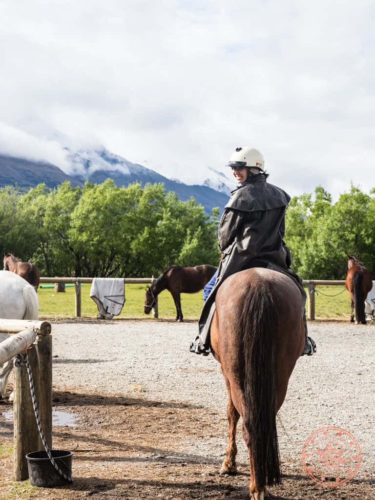 our horse ginger at dart stables