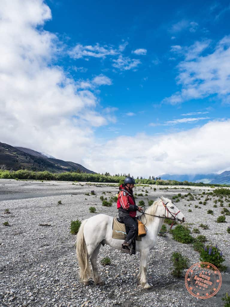 horseback riding at rees river with dart stables