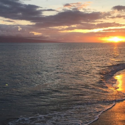 guide to lahaina maui hawaii things to do