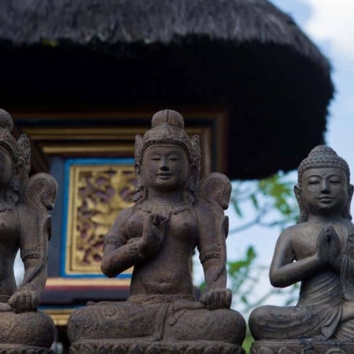 top things to do in ubud bali featured