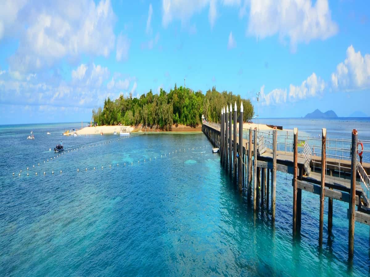 wooden bridge to green island