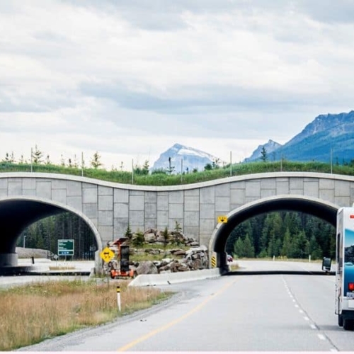 rv rentals in ontario driving to banff national park