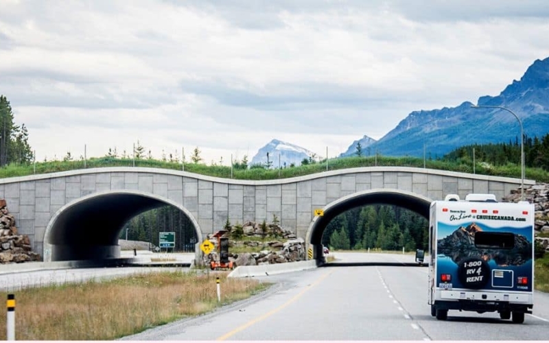 rv rentals in ontario driving to banff national park
