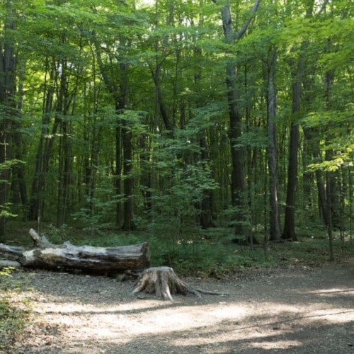 list of the best parks in vaughan ontario