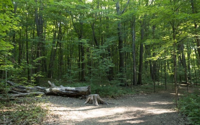 list of the best parks in vaughan ontario