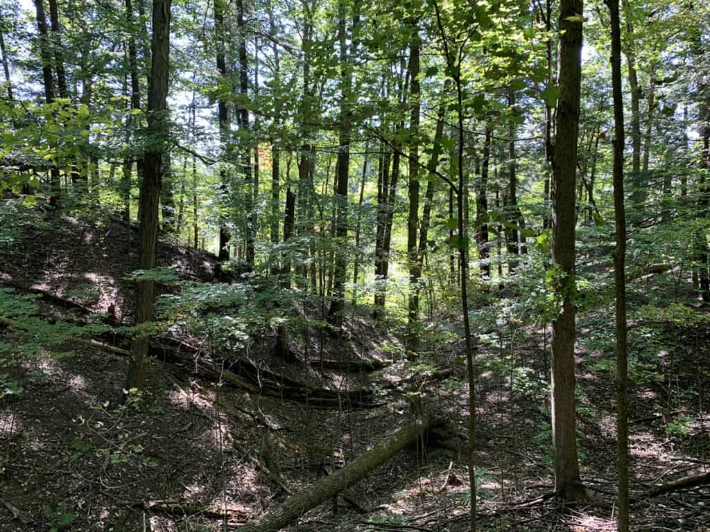 kortright centre vaughan park woods