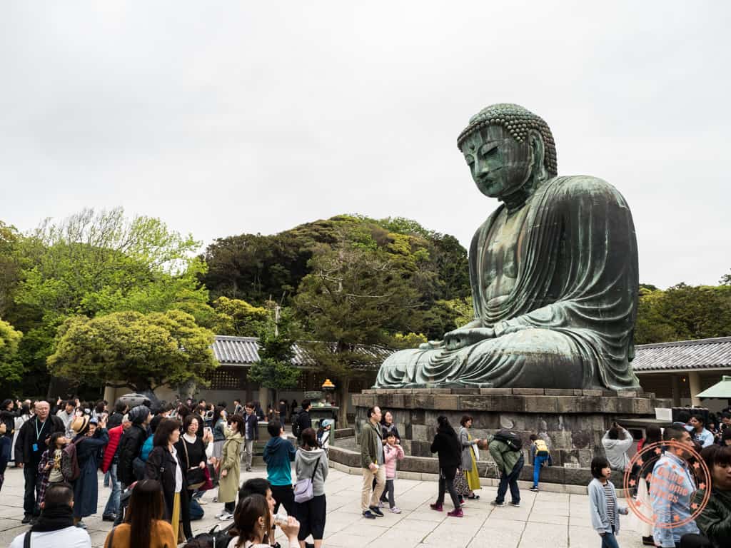 kotokuin temple with great buddha of kamakura day trip itinerary