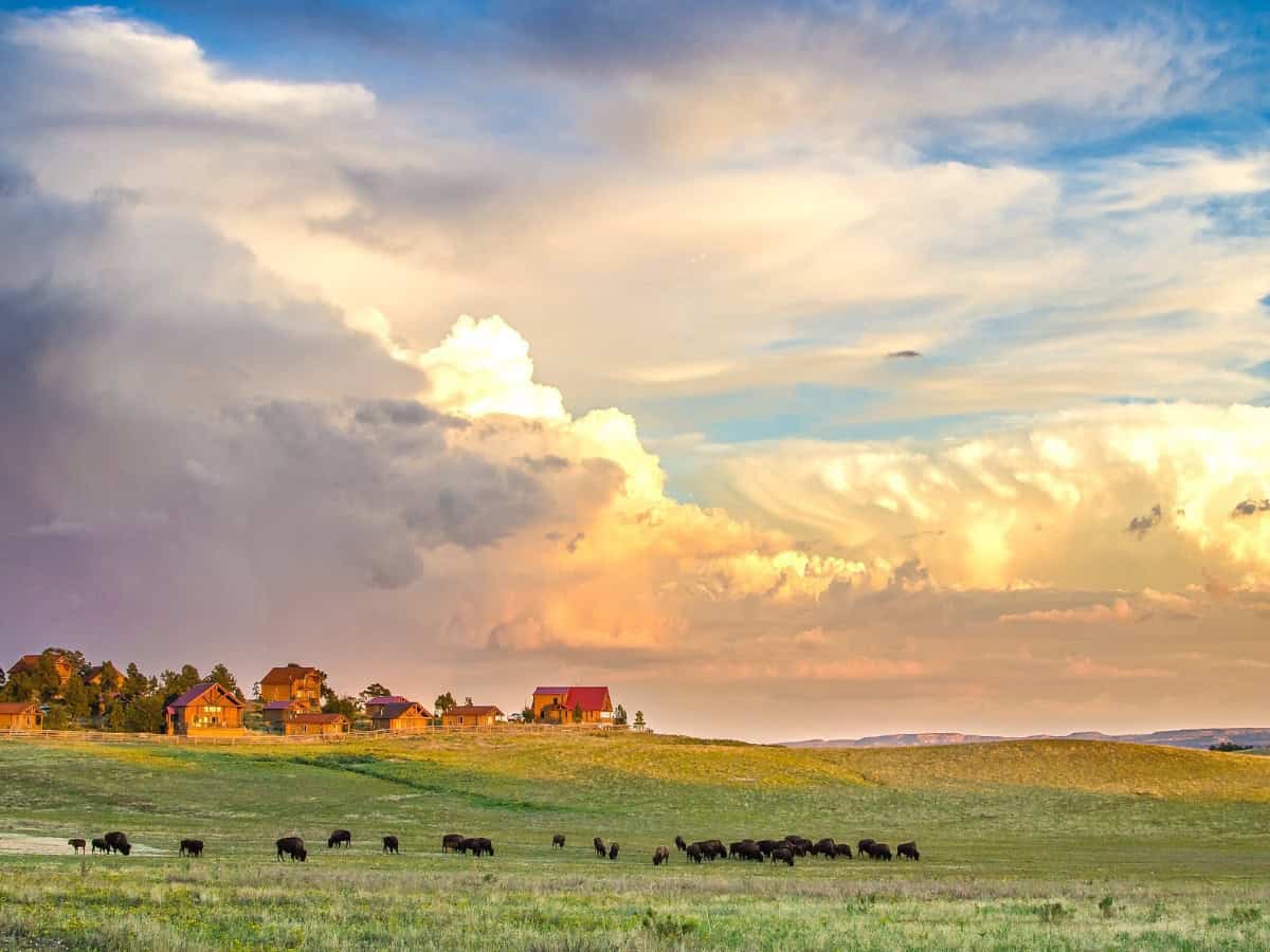 zion mountain ranch where to stay in zion national park