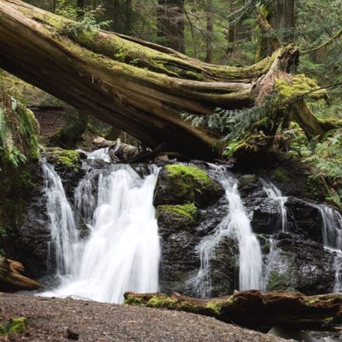things to do in san juan islands featured