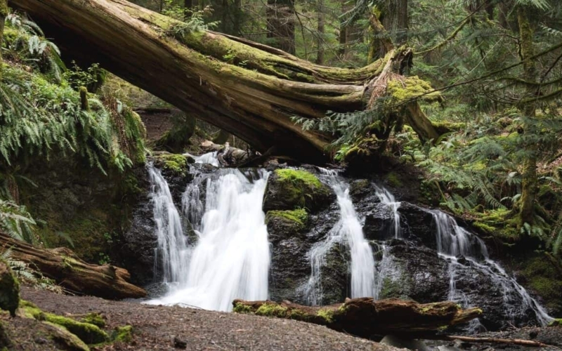 things to do in san juan islands featured