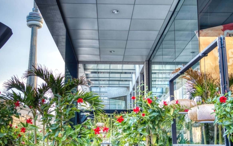 best toronto patios featured