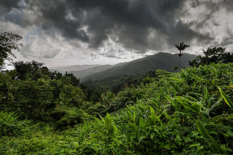 puerto rico hiking experiences