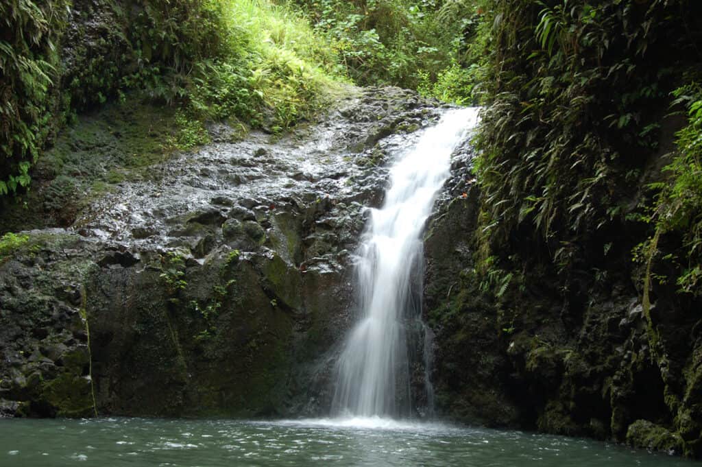maunawili falls challenging hike on oahu