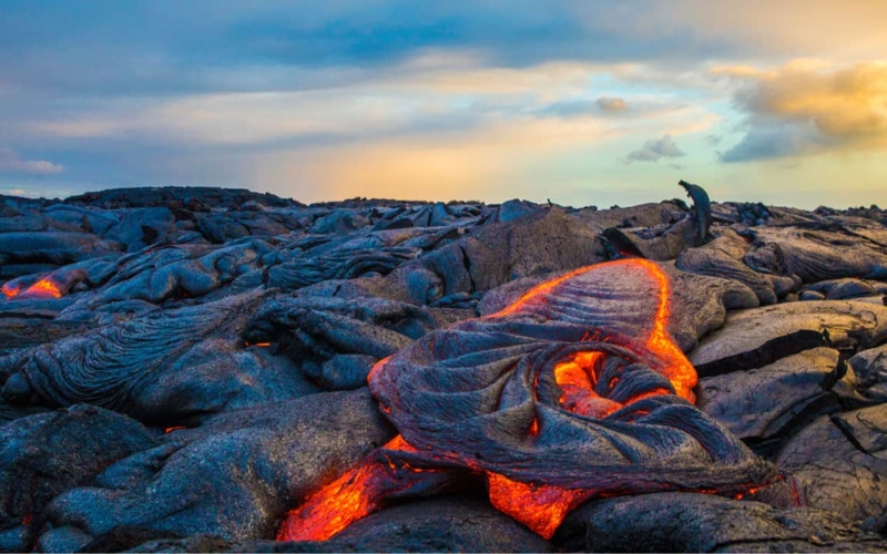 things to do in hilo big island hawaii featured