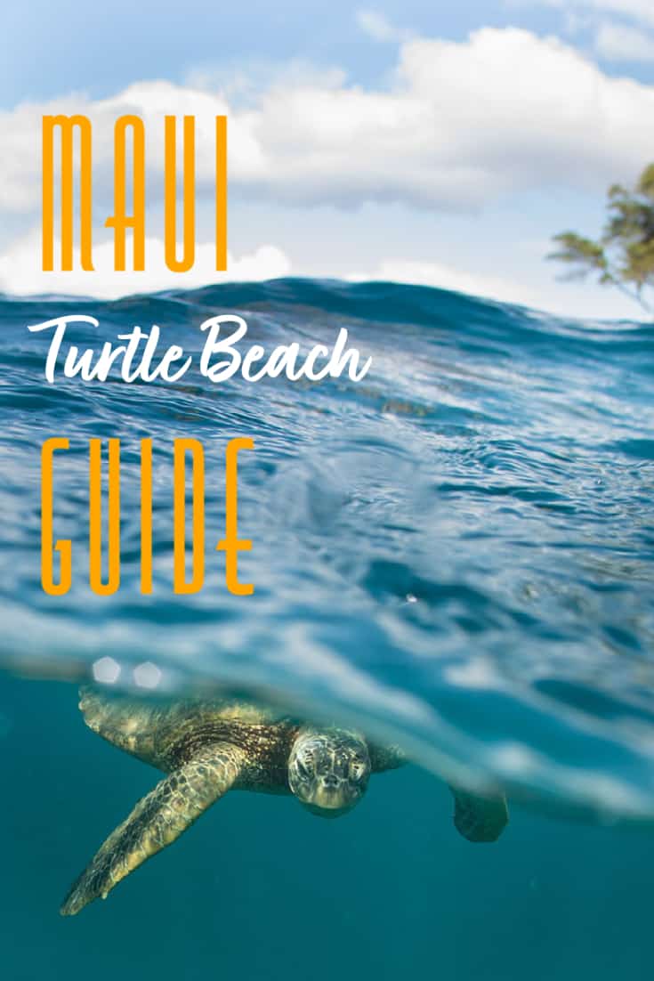 An Insider\'s Guide To Turtle Beach, Maui