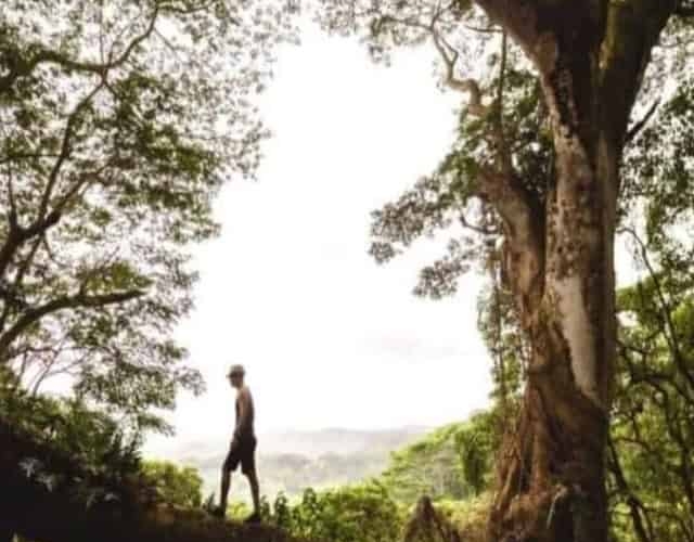 best island to visit in hawaii for first time visitors