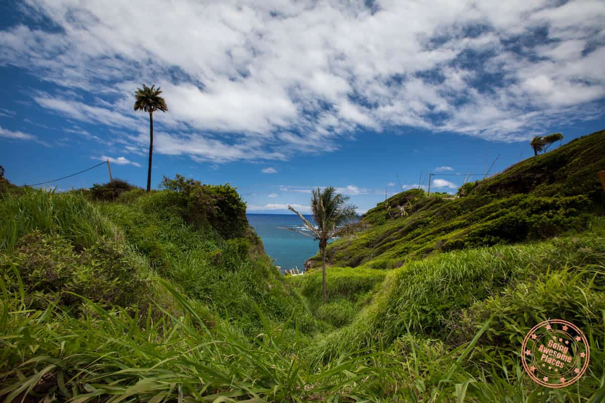 road to hana coastal views