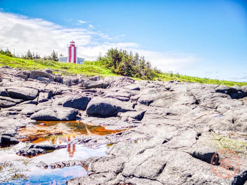 prim point lighthouse in nova scotia with reflection in the pool