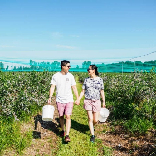 middlesex and sarnia-lambton 2 day itinerary ontario getaway featured