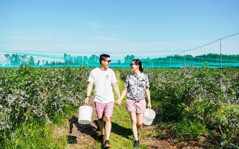 middlesex and sarnia-lambton 2 day itinerary ontario getaway featured