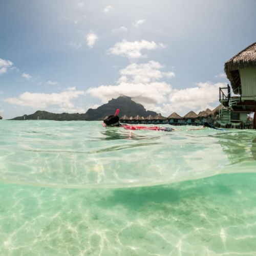 How much for a trip to Bora Bora swimming in the ocean
