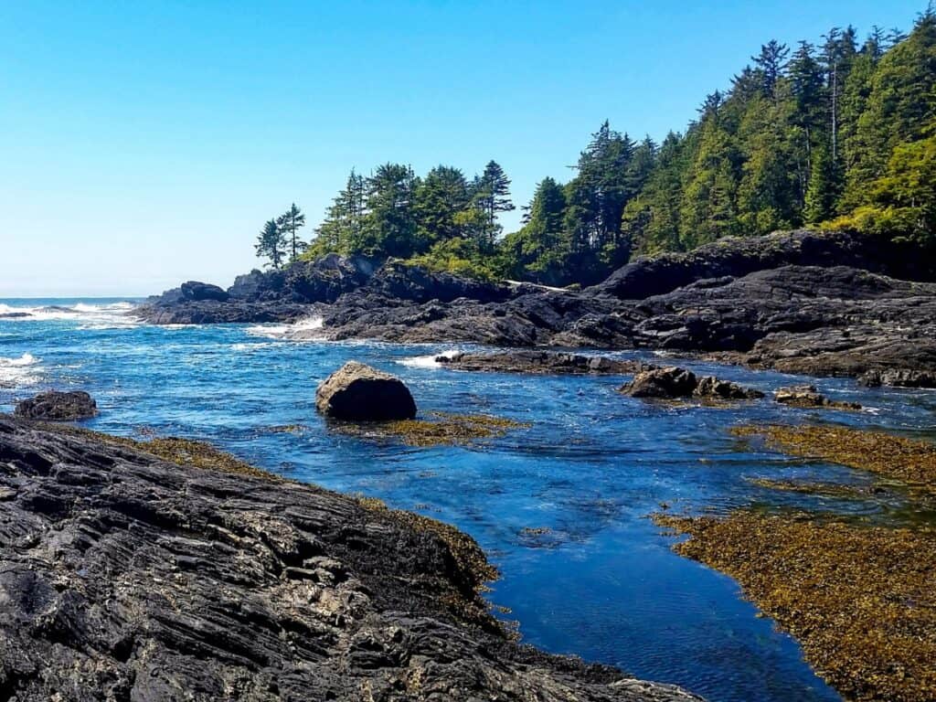 Botanical Beach Provincial Park Coastline by trees and cliff
