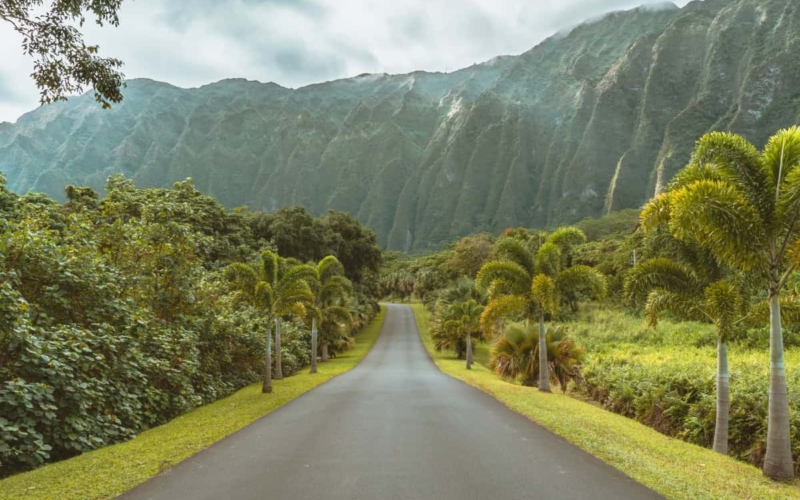 Where To Stay Oahu Feature