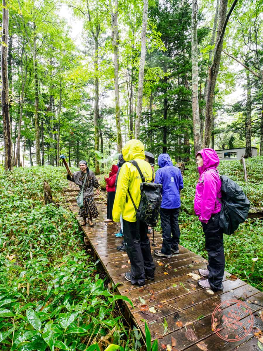 anytime ainutime forest time guided tour with kengo