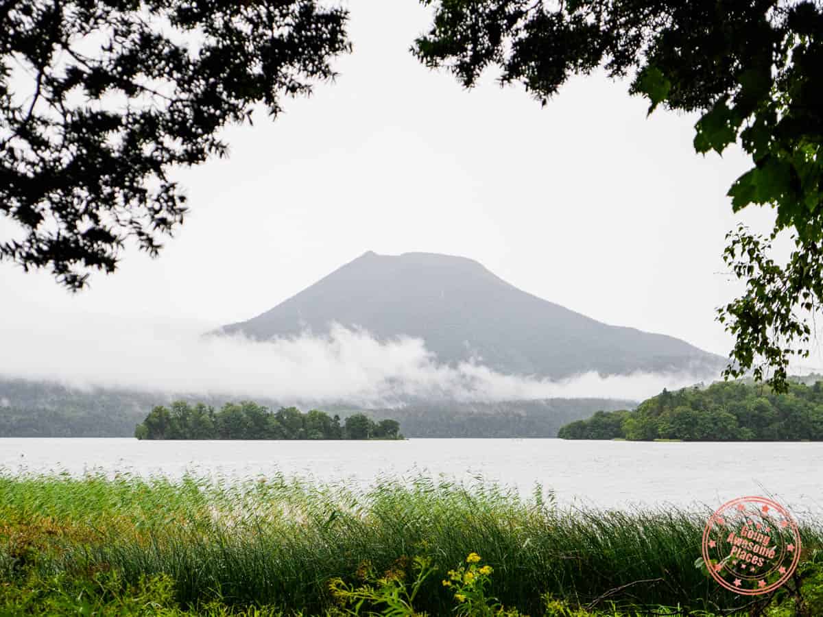 view of mount oakan during the ainu forest time walk with anytime ainutime