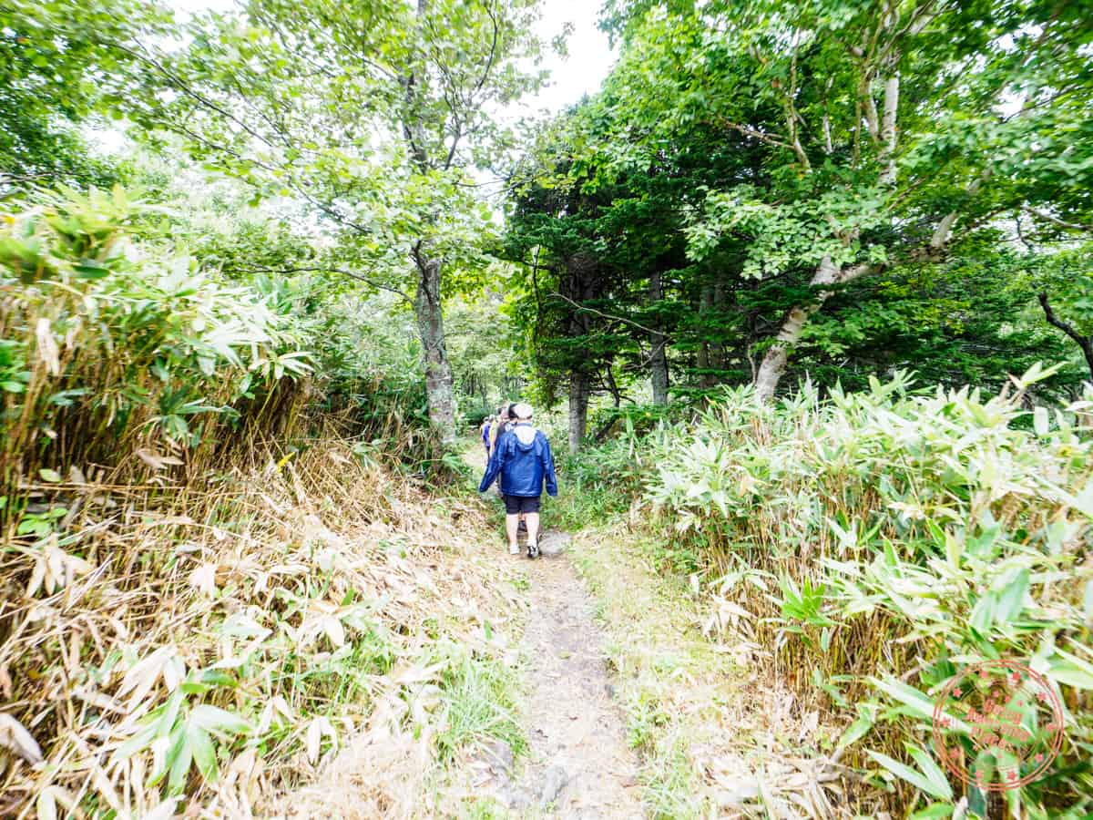 shiretoko five lakes hiking trail